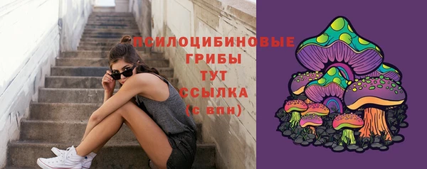 mdpv Рославль