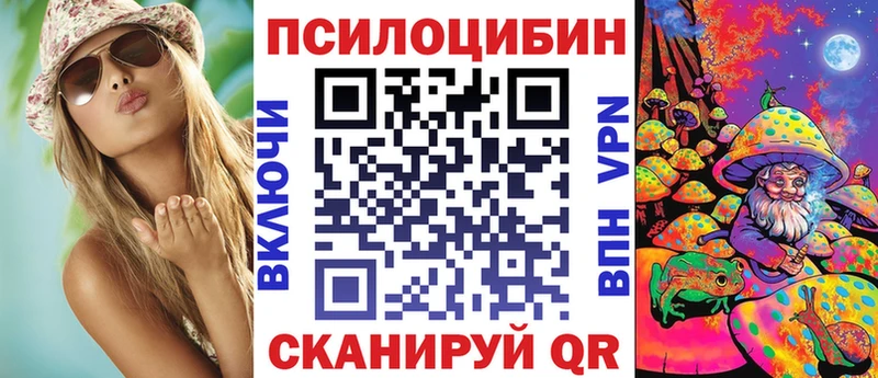 Купить  Ачхой-Мартан  Галлюциногенные грибы Psilocybine cubensis 